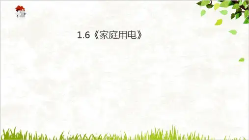 浙教版八级科学下册家庭用电教学精品优秀PPT