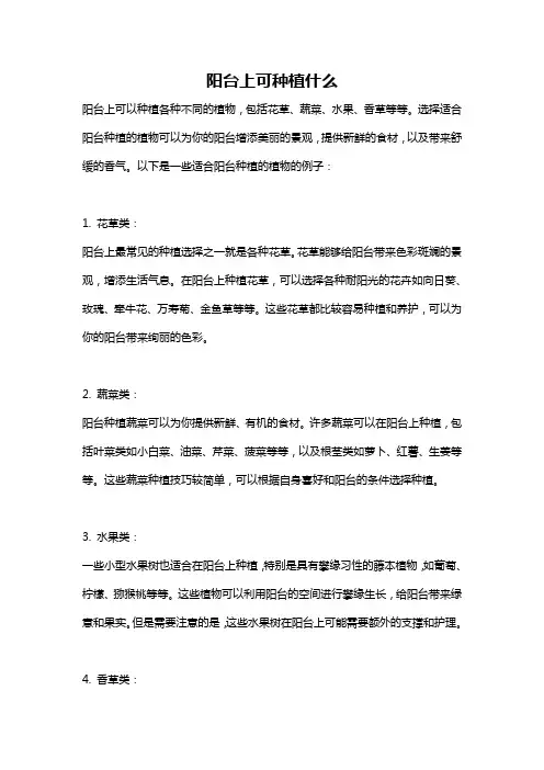 阳台上可种植什么