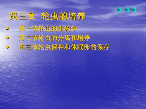 生物饵料课件 第三章轮虫的培养01012