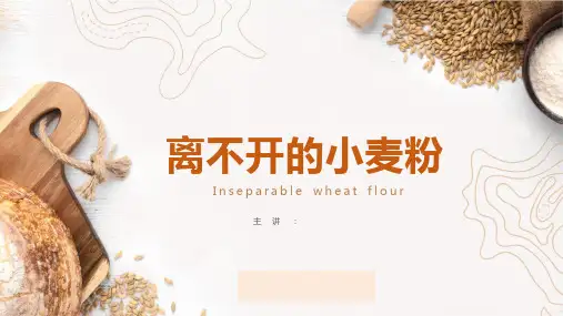 《食品加工技术》课件
