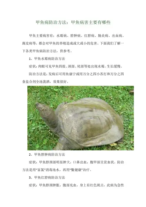 甲鱼病防治方法：甲鱼病害主要有哪些