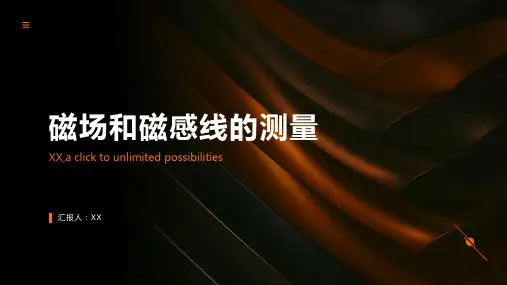 磁场和磁感线的测量