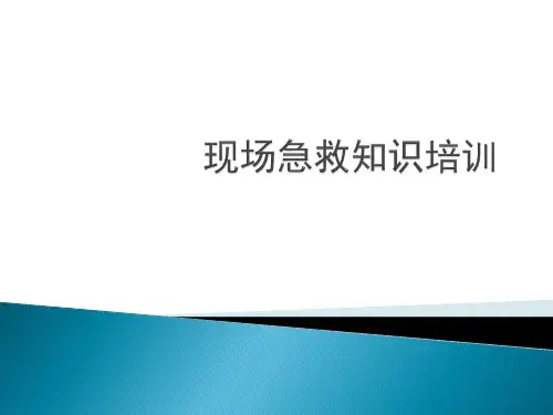 现场急救培训