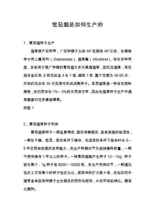 雪茄烟是如何生产的