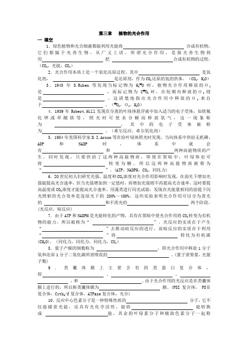 植物的光合作用