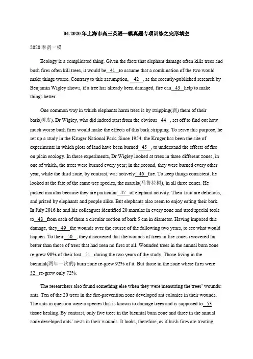 完形填空-2020年上海市高三英语一模专项训练
