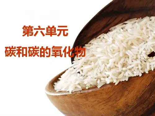 中考化学 《碳单质与碳的氧化物》复习
