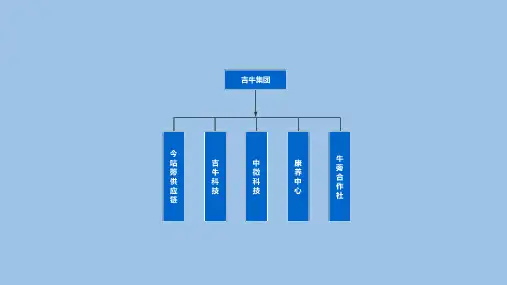 公司组织结构及岗位职责