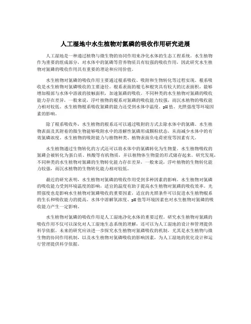 人工湿地中水生植物对氮磷的吸收作用研究进展