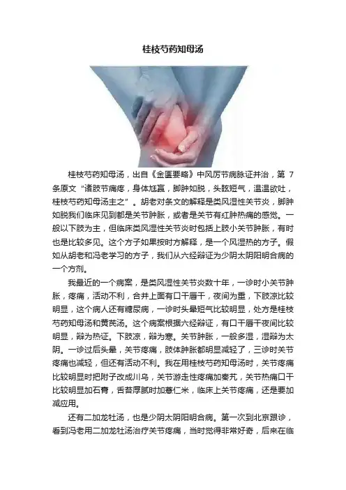 桂枝芍药知母汤