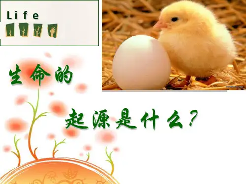 进化论