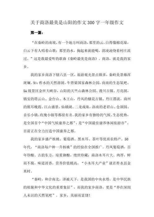 关于商洛最美是山阳的作文300字一年级作文