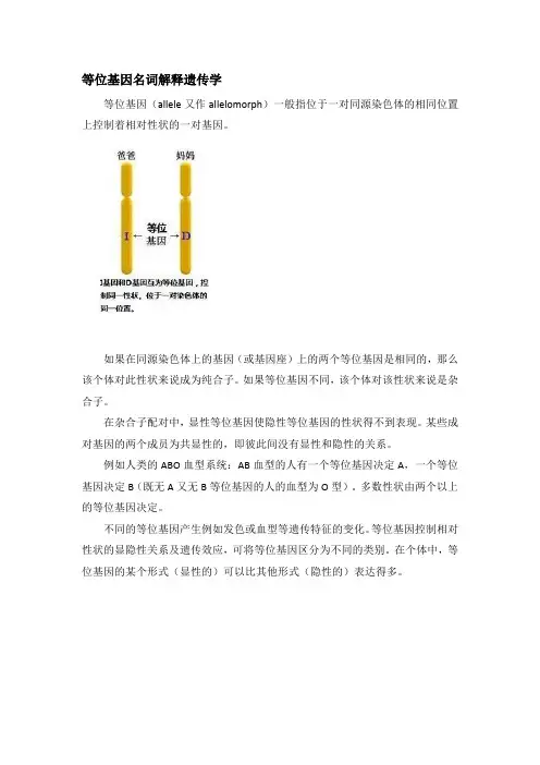 等位基因名词解释遗传学