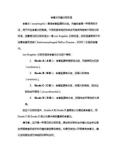 食管炎内镜分级标准