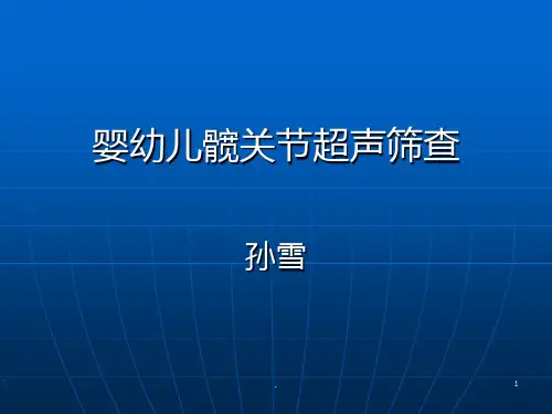 髋关节孙雪PPT课件