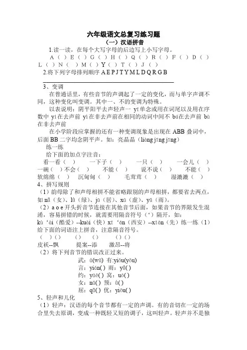 20年(新编)部编版六年级语文下册汉语拼音总复习练习题