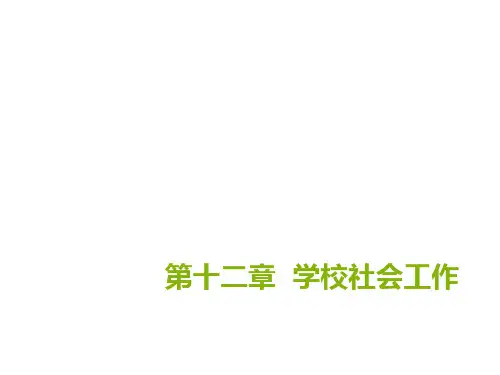 学校社会工作 PPT课件
