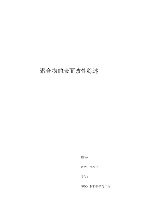 聚合物表面改性方法综述 4