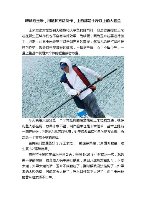 啤酒泡玉米，用这种方法制作，上的都是十斤以上的大鲤鱼