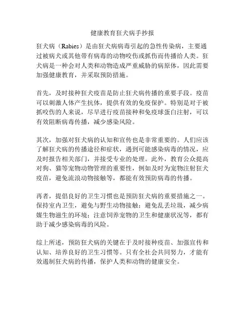 健康教育狂犬病手抄报