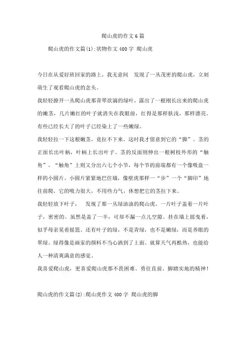 爬山虎的作文6篇