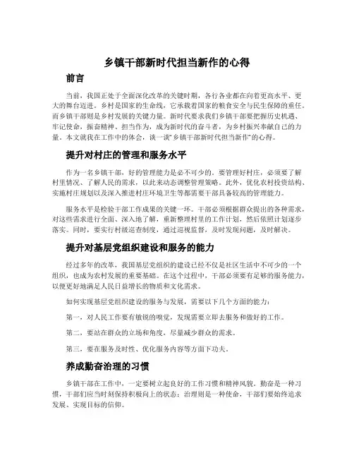 乡镇干部新时代担当新作的心得