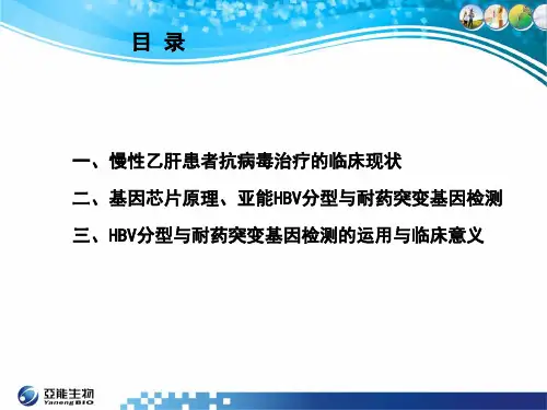 hbv基因与耐药检测 临床版-PPT课件