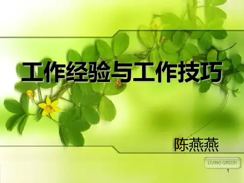 工作经验与工作技巧 PPT课件