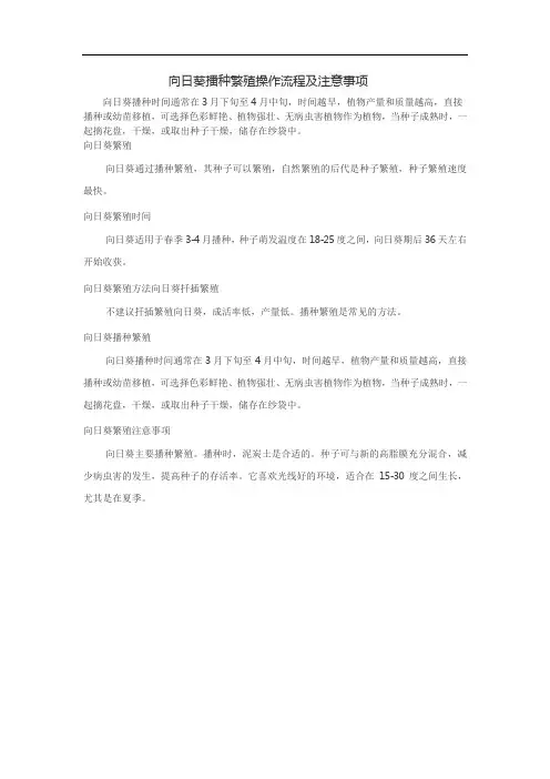 向日葵播种繁殖操作流程及注意事项