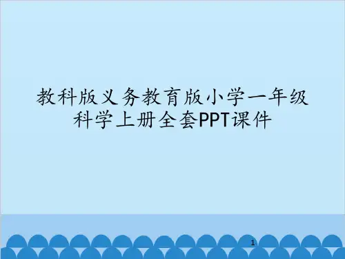 教科版义务教育版小学一年级科学上册全套PPT课件