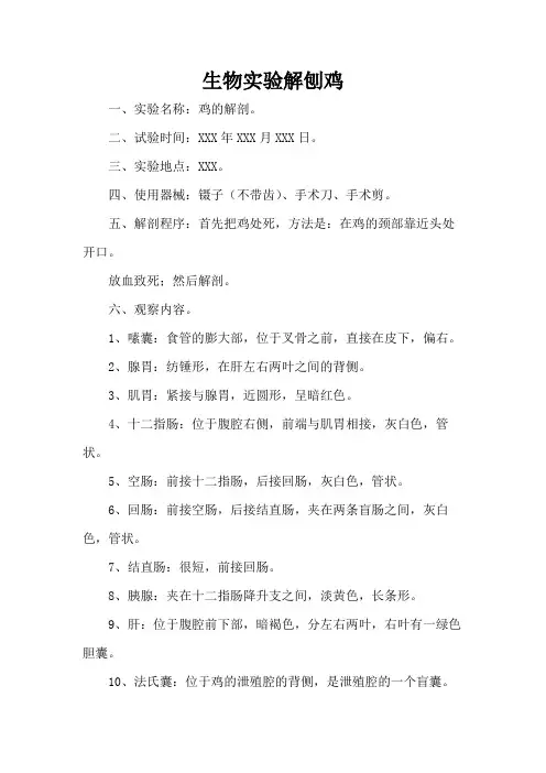 生物实验解刨鸡