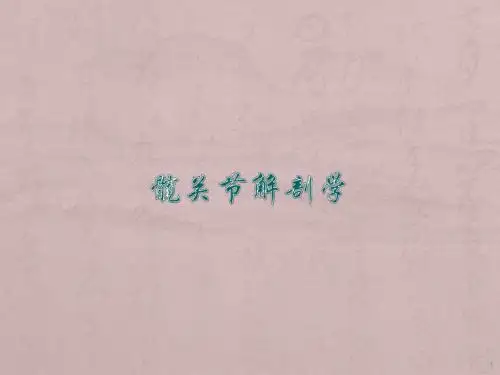 髋关节解剖学ppt课件