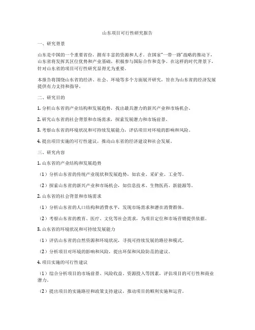 山东项目可行性研究报告