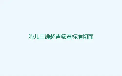 胎儿三维超声筛查标准切面[可修改版ppt]