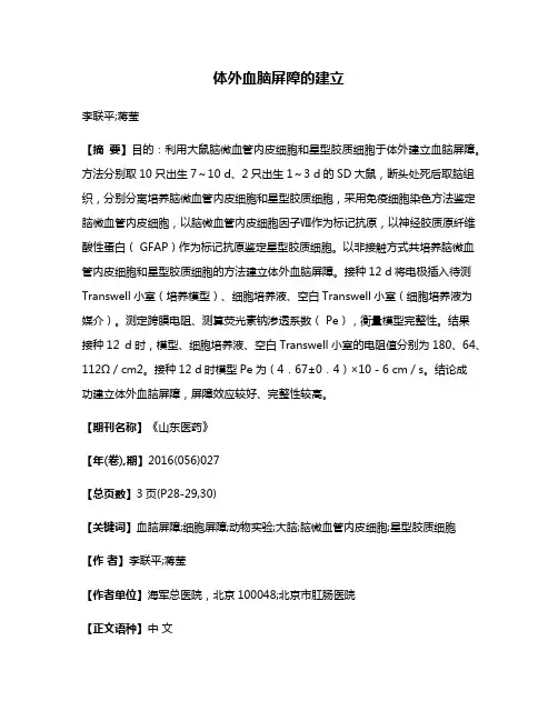 体外血脑屏障的建立