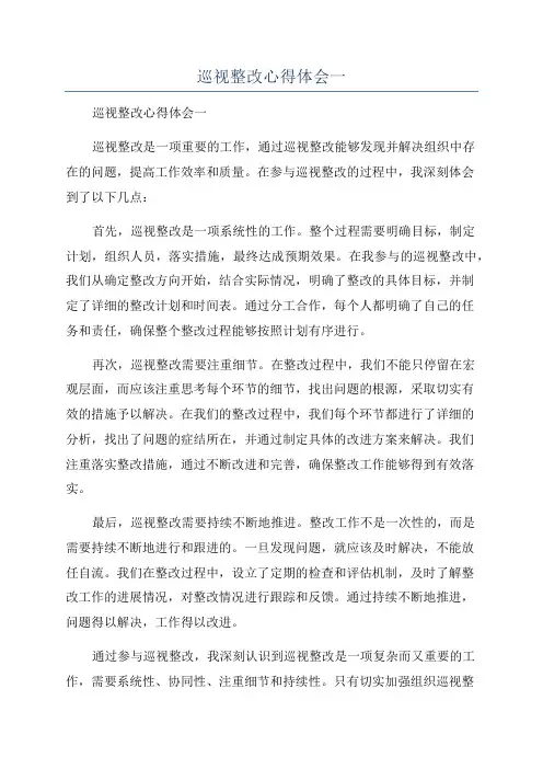 巡视整改心得体会一