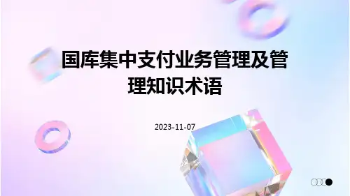 国库集中支付业务管理及管理知识术语