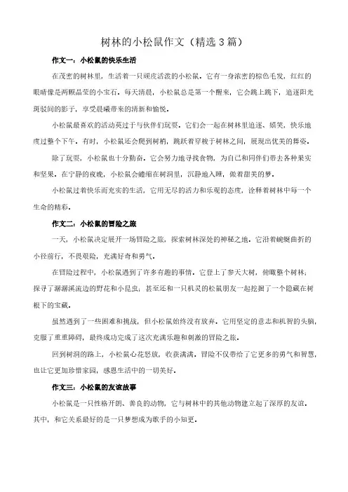 树林的小松鼠 作文(精选3篇)