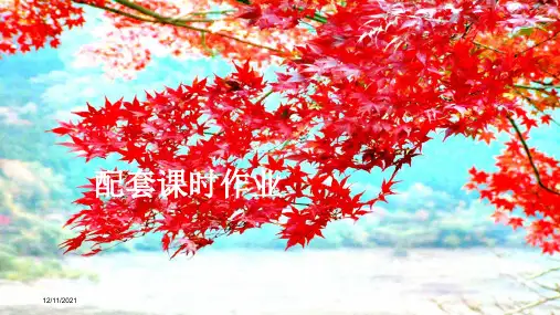 高考数学一轮复习 第七章 不等式 第2讲 一元二次不等式的解法配套课时作业课件 理