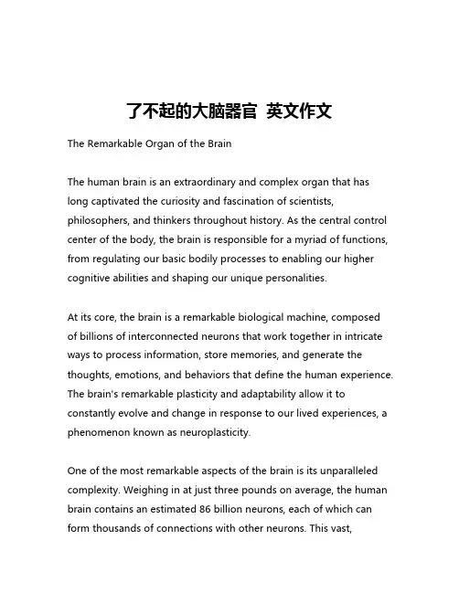 了不起的大脑器官 英文作文