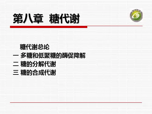 生物化学糖代谢