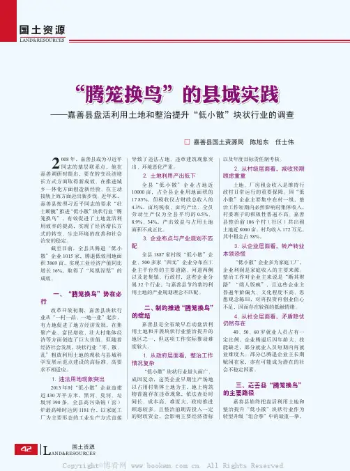 “腾笼换鸟”的县域实践——嘉善县盘活利用土地和整治提升“低小散”块状行业的调查