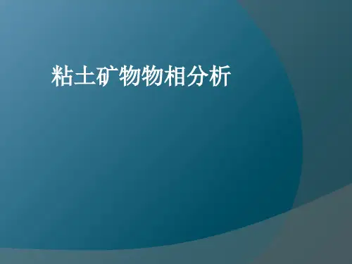 粘土矿物物相分析