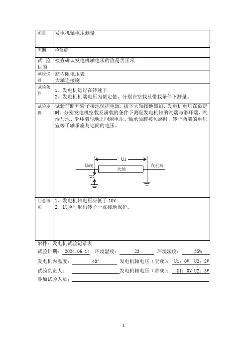 发电机轴电压测量