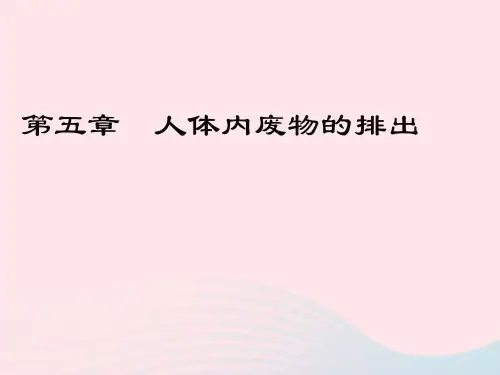 人教版七年级生物下册第五章人体内废物的排出  课件