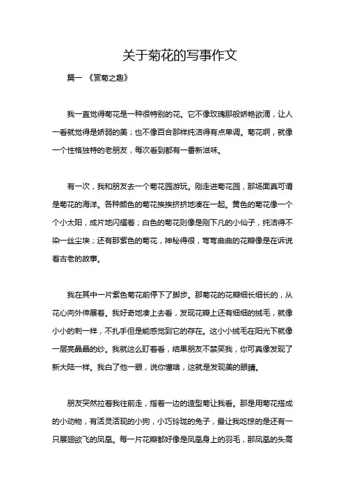 关于菊花的写事作文