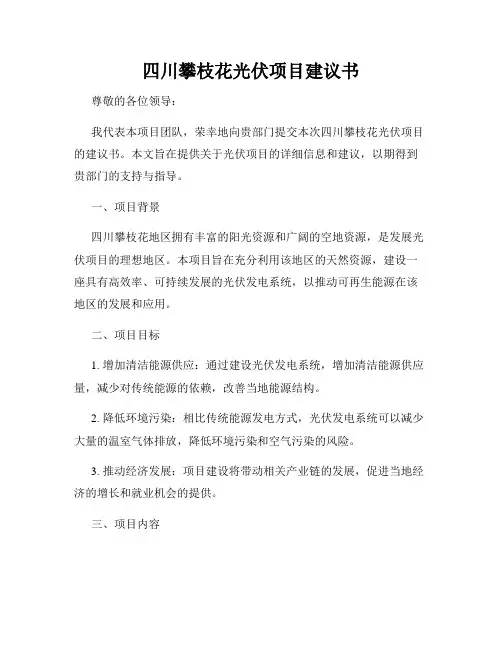 四川攀枝花光伏项目建议书