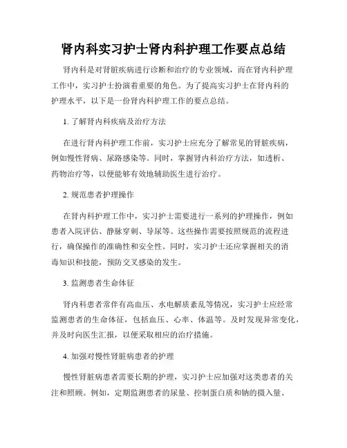 肾内科实习护士肾内科护理工作要点总结