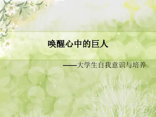 大学生心理健康课程 第三章 认识自我