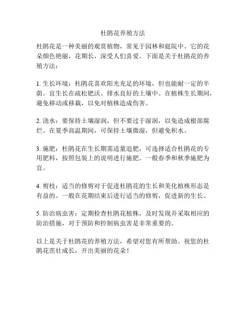 杜鹃花养殖方法